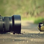 «Лучший» фотоаппарат для начинающих