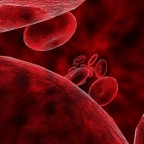 Ученые работают над созданием клонированной крови